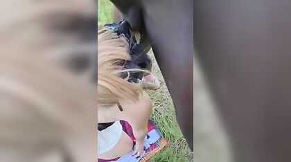 Pompa un nero e un bianco di fronte al cornuto