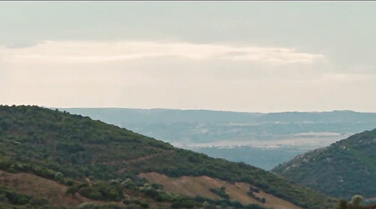 SOGNO DI UNA NOTTE DI MEZZA ESTATE